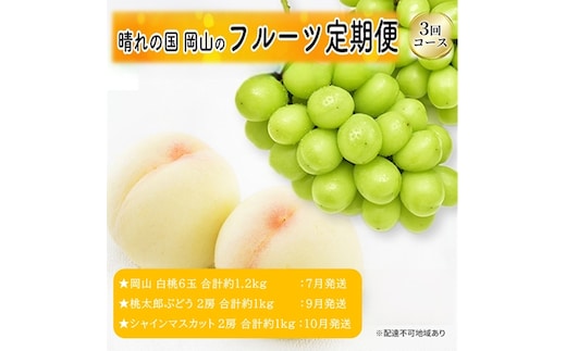 先行予約 晴れの国 岡山のフルーツ 定期便 3回コース 1回目 岡山 白桃6玉 合計約1.2kg／2回目 桃太郎ぶどう２房 合計約1kg／シャインマスカット 2房 合計約1kg