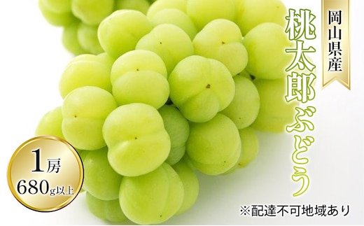 ぶどう 2026年 先行予約 桃太郎 ぶどう 1房 680g以上（露地栽培）贈答用 ブドウ 葡萄 岡山県産 国産 フルーツ 果物 ギフト 岡山の葡萄