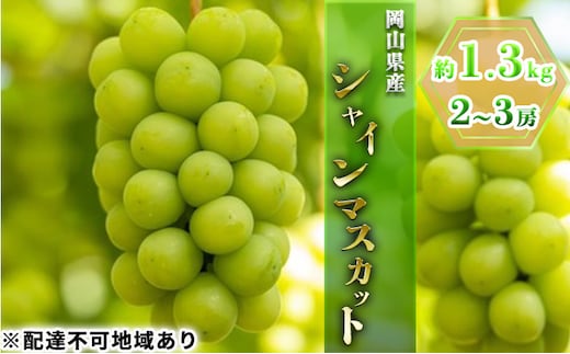 ぶどう 2026年 先行予約 シャイン マスカット 約1.3kg 2～3房 ブドウ 葡萄 岡山県産 国産 フルーツ 果物 ギフト
