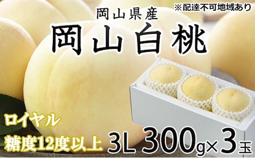 桃 2026年 先行予約 岡山 白桃 ロイヤル 3玉×約300g（3Lサイズ）JAおかやまのもも（早生種・中生種） もも モモ 岡山県産 国産 フルーツ 果物 ギフト