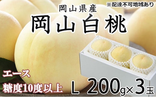 桃 2026年 先行予約 岡山 白桃 エース 3玉×約200g（Lサイズ） JAおかやまのもも（早生種・中生種） もも モモ 岡山県産 国産 フルーツ 果物 ギフト