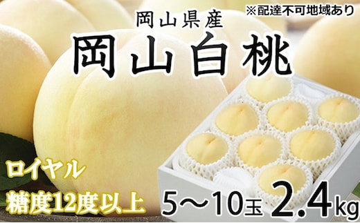 桃 2026年 先行予約 岡山 白桃 ロイヤル 5～10玉 約2.4kg JAおかやまのもも（早生種・中生種） もも モモ 岡山県産 国産 フルーツ 果物 ギフト