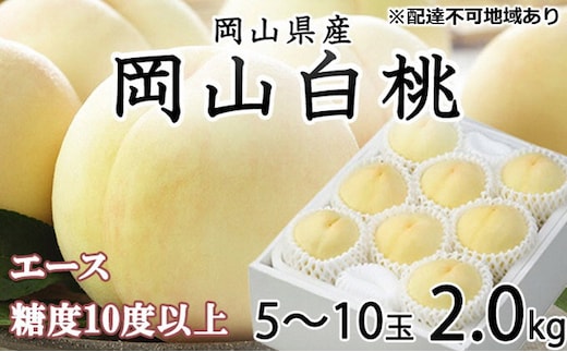 桃 2026年 先行予約 岡山 白桃 エース 5～10玉 約2kg JAおかやまのもも（早生種・中生種） もも モモ 岡山県産 国産 フルーツ 果物 ギフト