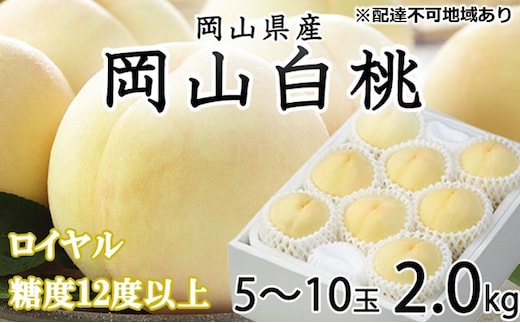 桃 2026年 先行予約 岡山 白桃 ロイヤル 5～10玉 約2kg JAおかやまのもも（早生種・中生種） もも モモ 岡山県産 国産 フルーツ 果物 ギフト