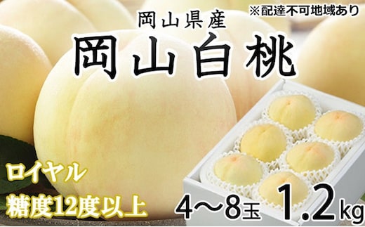 桃 2026年 先行予約 岡山 白桃 ロイヤル 4～8玉 約1.2kg JAおかやまのもも（早生種・中生種） もも モモ 岡山県産 国産 フルーツ 果物 ギフト