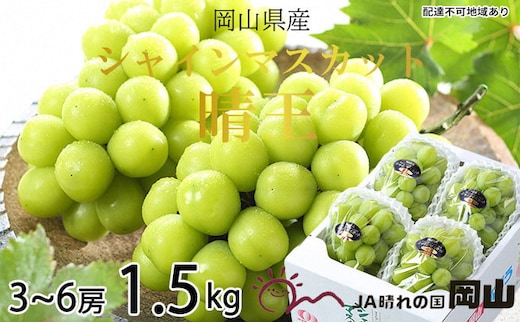 ぶどう 2026年 先行予約 シャイン マスカット 晴王 3房～6房 約1.5kg 7月上旬～8月中旬発送 ブドウ 葡萄 岡山県産 国産 フルーツ 果物 ギフト
