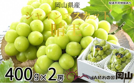ぶどう 2026年 先行予約 シャイン マスカット 晴王 約400g×2房 7月上旬～8月中旬発送 ブドウ 葡萄 岡山県産 国産 フルーツ 果物 ギフト