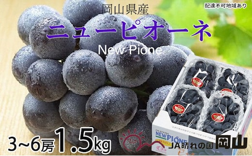 ぶどう 2026年 先行予約 ニュー ピオーネ 3房～6房 約1.5kg 6月下旬～7月下旬発送 ブドウ 葡萄 岡山県産 国産 フルーツ 果物 ギフト 果物類 種なし デザート 食後 おやつ 産地直送