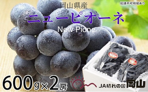 ぶどう 2026年 先行予約 ニュー ピオーネ 約600g×2房 6月下旬～7月下旬発送 ブドウ 葡萄 岡山県産 国産 フルーツ 果物 ギフト 果物類 種なし デザート 食後 おやつ 産地直送