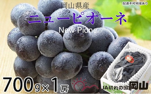 ぶどう 2026年 先行予約 ニュー ピオーネ 約700g×1房 6月下旬～7月下旬発送 ブドウ 葡萄 岡山県産 国産 フルーツ 果物 ギフト 果物類 種なし デザート 食後 おやつ 産地直送