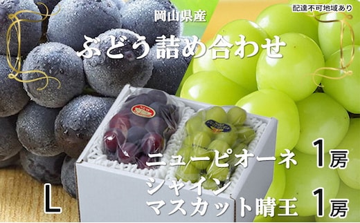 ぶどう 2026年 先行予約 ニュー ピオーネ 1房 約400g シャイン マスカット 晴王 1房 約400g 詰め合わせ 6月下旬～7月中旬発送 岡山県産 国産 フルーツ 果物 ギフト 種なし