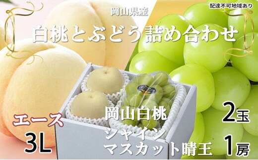 岡山白桃 エース 2玉×約300g（3Lサイズ、早生種・中生種）シャインマスカット 晴王 1房約600g 詰合せ 岡山県産