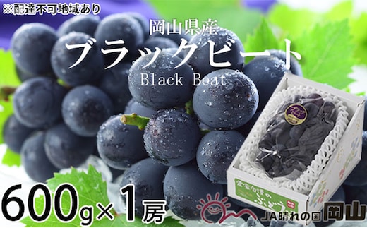 ぶどう 2026年 先行予約 ブラックビート 約600g×1房 ブドウ 葡萄 岡山県産 国産 フルーツ 果物 ギフト 岡山のぶどう 岡山の果物 デザート 食後 種無し 大粒 甘味 酸味 バランス