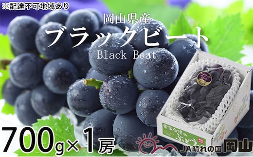 ぶどう 2026年 先行予約 ブラックビート 約700g×1房 ブドウ 葡萄 岡山県産 国産 フルーツ 果物 ギフト 岡山のぶどう 岡山の果物 デザート 食後 種無し 大粒 甘味 酸味 バランス