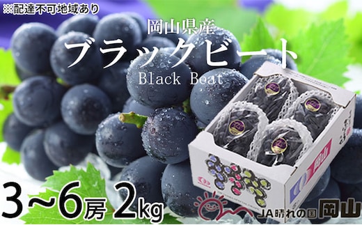 ぶどう 2026年 先行予約 ブラックビート 約2kg 3～6房 ブドウ 葡萄 岡山県産 国産 フルーツ 果物 ギフト 岡山のぶどう 岡山の果物 デザート 食後 種無し 大粒 甘味 酸味 バランス