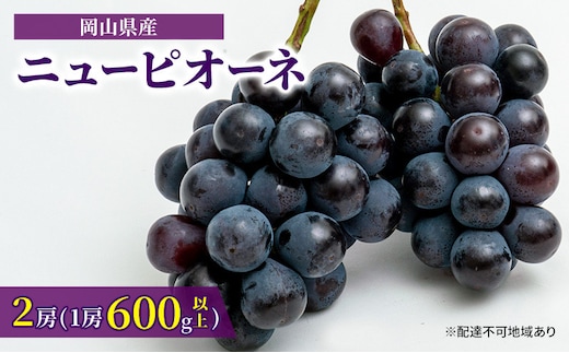 ぶどう 2026年 先行予約 ニュー ピオーネ 2房（1房600g以上）化粧箱入り ブドウ 葡萄 岡山県産 国産 フルーツ 果物 ギフト 甘みが強い 酸味 皮離れがいい 大粒 食べ応え