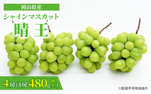 ぶどう 2026年 先行予約 シャイン マスカット 晴王 4房（1房480g以上）約2kg マスカット 岡山県産 国産 フルーツ 果物 ギフト 上品な香り 高級ぶどう 高級シャインマスカット 大粒 種なし 皮ごと