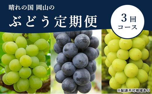 ぶどう 定期便 2026年 先行予約 晴れの国 岡山 の ぶどう定期便 3回コース 葡萄 ブドウ 岡山県産 国産 セット ギフト アレキサンドリア ニューピオーネ シャインマスカット 上品な香り 高級ぶどう