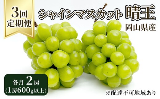 ぶどう 定期便 2026年 先行予約 シャイン マスカット 晴王 各月2房（1房600g以上） 3回コース マスカット ブドウ 葡萄 岡山県産 国産 フルーツ 果物 ギフト 大粒 高級 甘い 弾力