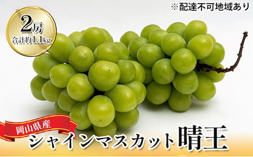 ぶどう 2026年 先行予約 シャイン マスカット 晴王 2房 （合計約1.1kg） 化粧箱入り マスカット ブドウ 葡萄 岡山県産 国産 フルーツ 果物 ギフト