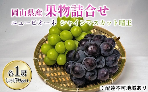 ぶどう 2026年 先行予約 詰め合わせ ニュー ピオーネ 1房 (1房470g以上) シャイン マスカット 晴王 1房 (1房470g以上) 化粧箱入り 岡山県産 国産 フルーツ ギフト 果物 贈答品 セット