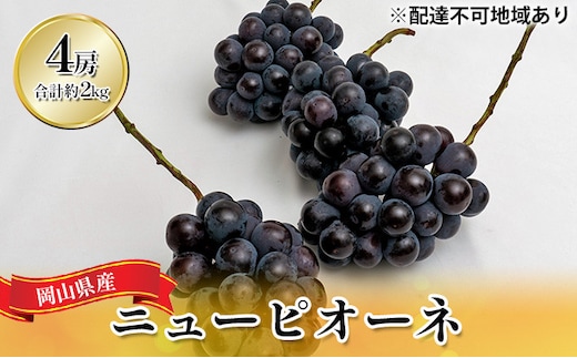 ぶどう 2026年 先行予約 ニュー ピオーネ 4房（合計約2kg） ブドウ 葡萄 岡山県産 国産 フルーツ 果物 ギフト