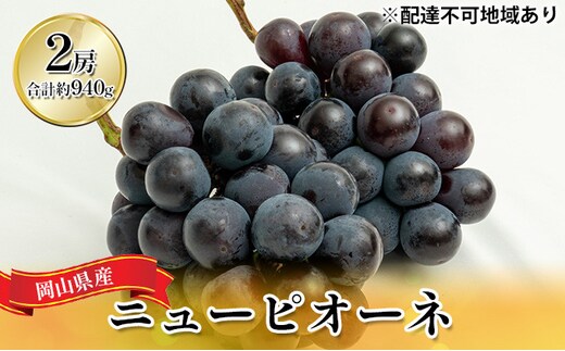 ぶどう 2026年 先行予約 ニュー ピオーネ 2房（合計約940g）化粧箱入り ブドウ 葡萄 岡山県産 国産 フルーツ 果物 ギフト