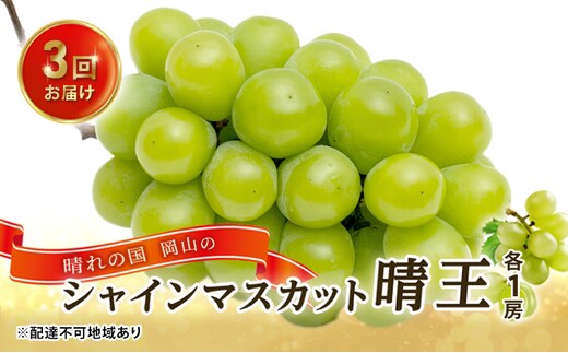 ぶどう 2026年 先行予約 3回お届け！ 晴れの国 岡山の シャイン マスカット 晴王 ×3回！(各1房) 葡萄 岡山県産 国産 フルーツ 果物 ギフト 食後 高級ぶどう 大粒 種なし 甘みが強い 皮ごと