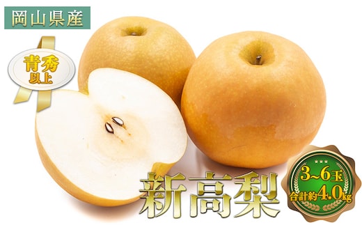 梨 2026年 先行予約 新高梨 3～6玉 青秀以上 合計約4.0kg 梨 なし 果物 フルーツ 岡山県産 化粧箱入り 大きさ 形 おいしさ 梨の王様 大玉 甘い みずみずしく 上品 風味 シャリシャリ 食感