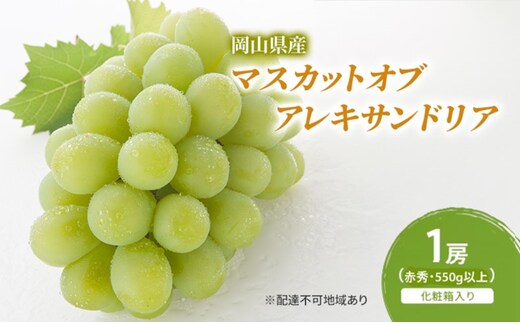 ぶどう 2026年 先行予約 マスカットオブアレキサンドリア 1房(550g以上・赤秀)～化粧箱入り