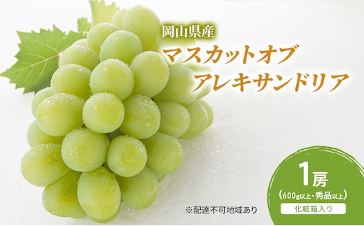 ぶどう 2026年 先行予約 マスカットオブアレキサンドリア 1房(600g以上・秀品以上) 化粧箱入り