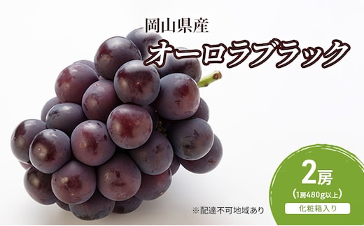 ぶどう 2026年 先行予約 オーロラブラック 2房(1房480g以上) 化粧箱入り ブドウ 葡萄 岡山県産 国産 フルーツ 果物 ギフト