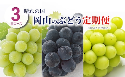 ぶどう 定期便 2026年 先行予約 晴れの国 岡山 の ぶどう定期便 3回コース 葡萄 ブドウ 岡山県産 国産 セット ギフト