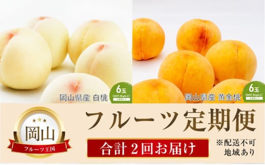 桃 定期便 2026年 先行予約 晴れの国 岡山 の フルーツ 定期便 2回コース 桃食べ比べ 岡山県産 国産 セット ギフト
