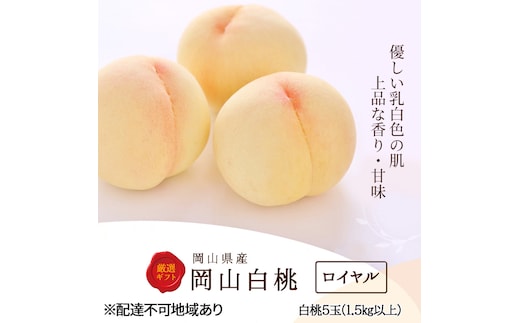 桃 2026年 先行予約 白桃 5玉 (1.5kg以上) 等級：ロイヤル 木箱入り もも モモ 岡山県産 国産 フルーツ 果物 セット ギフト