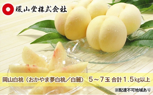 桃 2026年 先行予約 岡山 白桃（品種：おかやま夢白桃／白麗）5～7玉 合計1.5kg以上 もも モモ 岡山県産 国産 フルーツ 果物 ギフト 環山堂 直射日光 有袋栽培 上品 甘み 香り 豊か とろける 果汁 贈り物