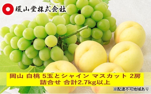 桃 ぶどう 2026年 先行予約 岡山 白桃 5玉とシャイン マスカット 2房 詰合せ 合計2.7kg以上 もも 葡萄 岡山県産 国産 フルーツ 果物 ギフト 環山堂 上品 甘み 乳白色 人気 皮ごと 贈り物 セット