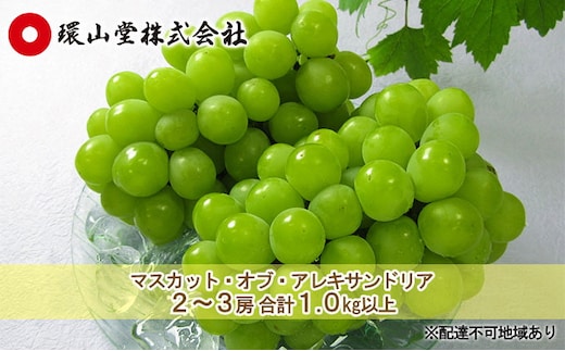ぶどう 2026年 先行予約 マスカット・オブ・アレキサンドリア 2～3房 合計1.0kg以上 マスカット ブドウ 葡萄 岡山県産 国産 フルーツ 果物 ギフト 環山堂 女王 美しい 香り 気品 贈り物 芳醇
