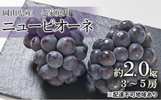 ぶどう 2026年 先行予約 ご家庭用 ニュー ピオーネ 約2.0kg （3～5房） ブドウ 葡萄 岡山県産 国産 フルーツ 果物