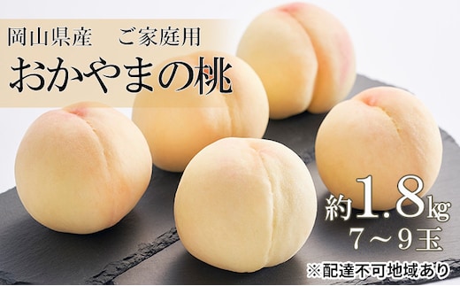 桃 2026年 先行予約 ご家庭用 おかやま の 桃 約1.8kg（7～9玉） もも モモ 岡山県産 国産 フルーツ 果物