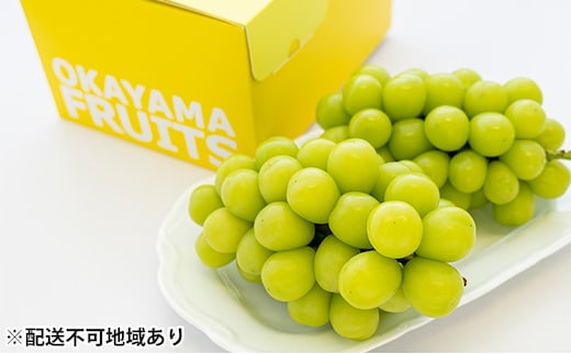ぶどう 2026年 先行予約 ご家庭用 シャイン マスカット 2～3房 合計約1.2kg ブドウ 葡萄 岡山県産 国産 フルーツ 果物 ギフト シャインマスカット 家庭用 自分用