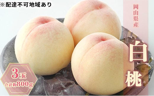 桃 2026年 先行予約 白桃 3玉 合計約800g もも モモ 岡山県産 国産 フルーツ 果物 ギフト