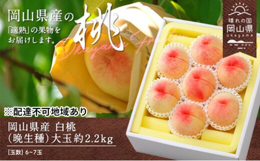 桃 2026年 先行予約 白桃 晩生種 大玉 約2.2kg 6～7玉 もも モモ 岡山県産 国産 フルーツ 果物 ギフト
