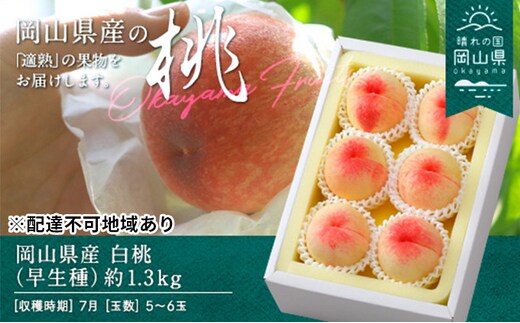 桃 2026年 先行予約 白桃 早生種 約1.3kg 5～6玉 もも モモ 岡山県産 国産 フルーツ 果物 ギフト