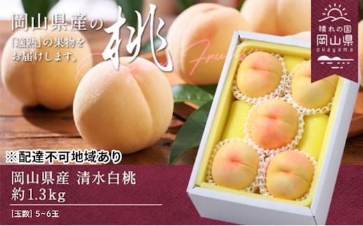 桃 2026年 先行予約 清水白桃 約1.3kg 5～6玉 もも モモ 岡山県産 国産 フルーツ 果物 ギフト