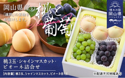 桃 ぶどう 2026年 白桃 晩生種 3玉 シャイン マスカット 1房 ニュー ピオーネ 1房 合計約1.8kg もも 葡萄 岡山県産 国産 フルーツ 果物 ギフト
