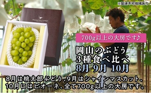 【2026年度発送】岡山のぶどう 3種 食べ比べ 3回 お届け 定期便 （8月・9月・10月） ブドウ 葡萄 大房 岡山県産 国産 フルーツ 果物 贈り物 ギフト