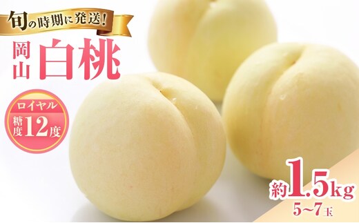 【2026年先行受付】 白桃 特秀 ロイヤル 中玉 約1.5kg(5～7玉)岡山県産 桃 もも モモ 御中元 ギフト 御礼 プレゼント 御礼 御祝 御供 果物 くだもの フルーツ