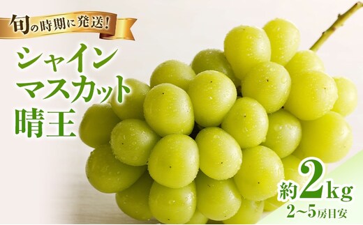 【2026年先行受付】 シャインマスカット 晴王 秀品 大房 約2kg(2～5房) 岡山県産 ぶどう 葡萄 ブドウ ギフト 御礼 プレゼント 御礼 御祝 御供 果物 くだもの フルーツ
