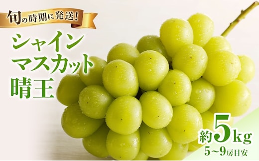 【2026年先行受付】 シャインマスカット 晴王 秀品 大房 約5kg(5～9房) 岡山県産 岡山県産 ぶどう 葡萄 ブドウ ギフト 御礼 プレゼント 御礼 御祝 御供 果物 くだもの フルーツ